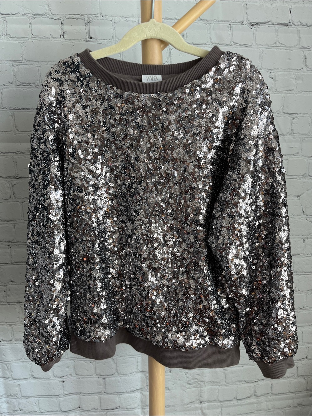 ⭐️⭐️ PICK 5 / $20 Zara Metallic Sequin Crewneck Sweater in Silver and Taupe
